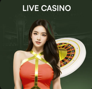 03月17日 NBA常规赛 灰熊vs公牛 全场录像回放